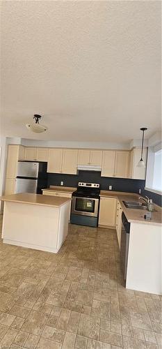 220 Cranbrook Street, Kitchener, ON - Indoor Photo Showing Kitchen With Double Sink