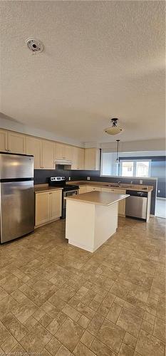 220 Cranbrook Street, Kitchener, ON - Indoor Photo Showing Kitchen