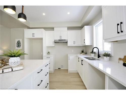 38 Albert Street, Cambridge, ON - Indoor Photo Showing Kitchen With Double Sink