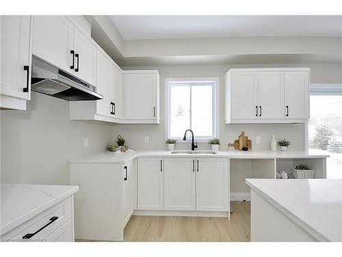 38 Albert Street, Cambridge, ON - Indoor Photo Showing Kitchen With Double Sink