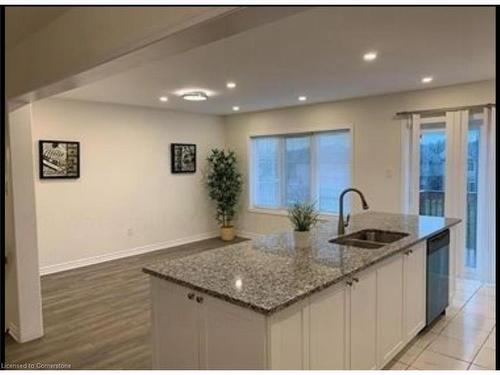 128 Watermill Street, Kitchener, ON - Indoor Photo Showing Kitchen With Double Sink