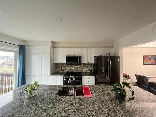 128 Watermill Street, Kitchener, ON - Indoor Photo Showing Kitchen With Double Sink