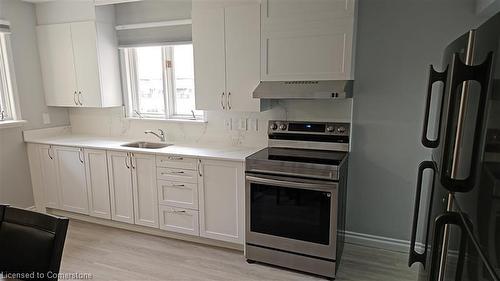 245 Lester Street, Waterloo, ON - Indoor Photo Showing Kitchen