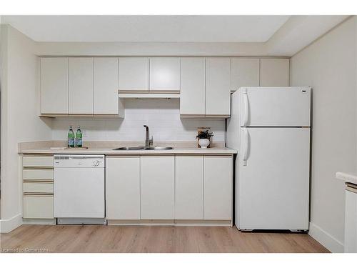 411-55 Green Valley Drive, Kitchener, ON - Indoor Photo Showing Kitchen With Double Sink