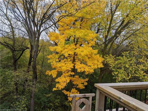 40 Brandy Crescent, Kitchener, ON - Outdoor