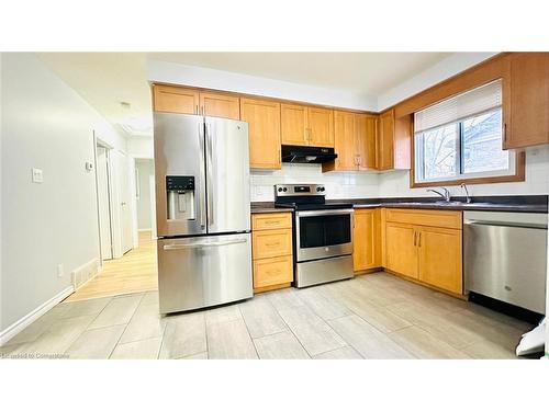 111 Scenic Wood Crescent, Kitchener, ON - Indoor Photo Showing Kitchen