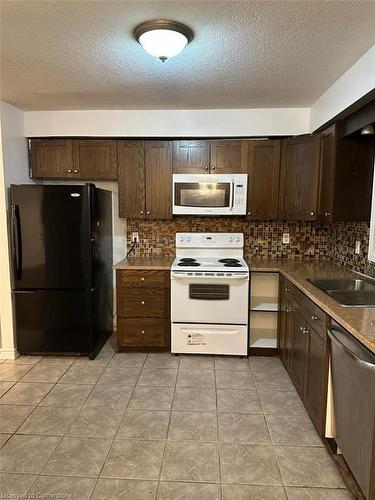 108 Veronica Drive, Kitchener, ON - Indoor Photo Showing Kitchen With Double Sink