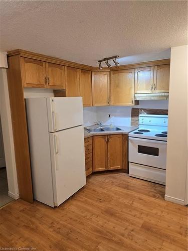 Lower-233 Wilderness Drive, Kitchener, ON - Indoor Photo Showing Kitchen With Double Sink