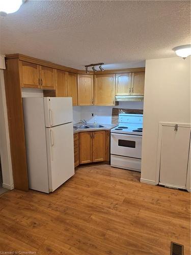 Lower-233 Wilderness Drive, Kitchener, ON - Indoor Photo Showing Kitchen