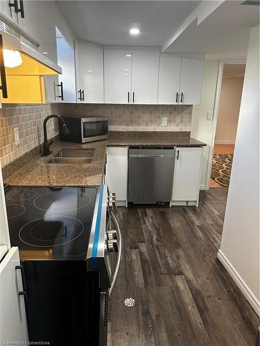 Basement-1010 Copper Leaf Crescent, Kitchener, ON - Indoor Photo Showing Kitchen With Double Sink