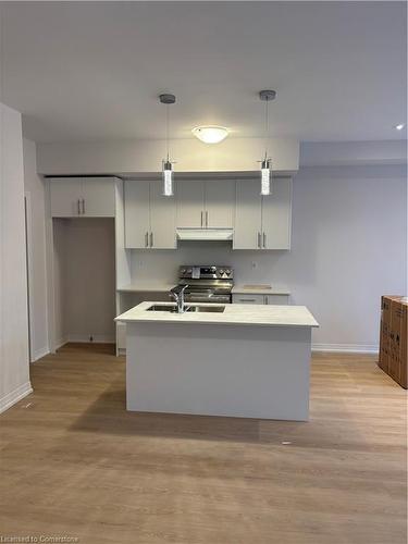 124-155 Equestrian Way, Cambridge, ON - Indoor Photo Showing Kitchen With Double Sink