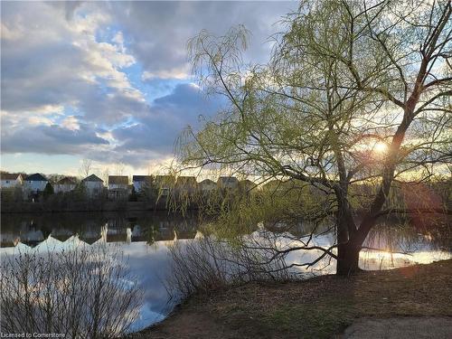 239 Buttercup Court, Waterloo, ON - Outdoor With View