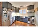 134 Brubacher Street, Kitchener, ON  - Indoor Photo Showing Kitchen With Stainless Steel Kitchen With Double Sink 