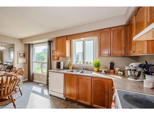 128 Henhoeffer Crescent, Kitchener, ON - Indoor Photo Showing Kitchen With Double Sink