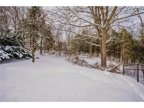 10 Stephen Street, Cambridge, ON - Outdoor