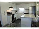 56 Meadowridge Street, Kitchener, ON  - Indoor Photo Showing Kitchen With Stainless Steel Kitchen With Upgraded Kitchen 