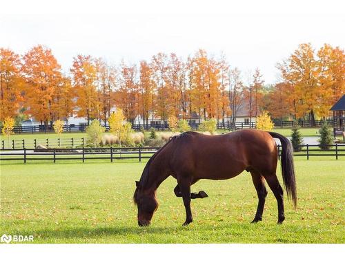 Lt 225 Friesian Court, Oro-Medonte, ON - Outdoor With View