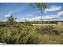 Lot 250 Mcguire Beach Road, Kawartha Lakes, ON 