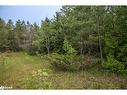 Lot 250 Mcguire Beach Road, Kawartha Lakes, ON 