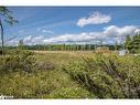 Lot 250 Mcguire Beach Road, Kawartha Lakes, ON 