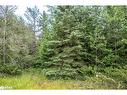 Lot 250 Mcguire Beach Road, Kawartha Lakes, ON 