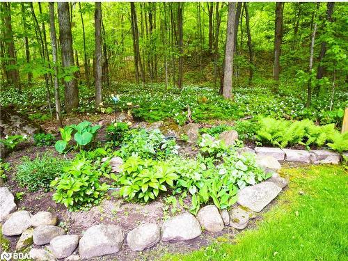 66 Huronwoods Drive, Oro-Medonte, ON - Outdoor With View