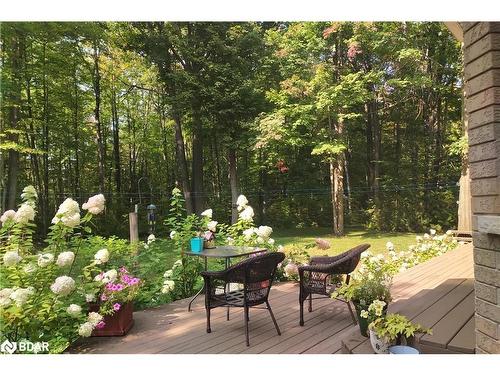 10 Cindy Lane, Lisle, ON - Outdoor With Deck Patio Veranda