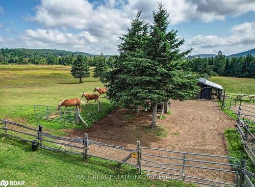 778 Maxwell Settlement Road, Bancroft, ON - Outdoor With View