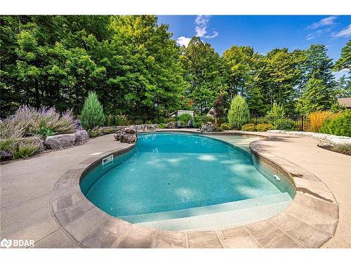 18 Black Creek Trail Trail, Springwater, ON - Outdoor With In Ground Pool With Backyard