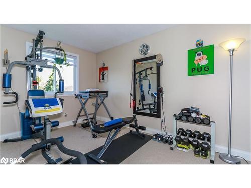 3 St Patricks Drive, Phelpston, ON - Indoor Photo Showing Gym Room