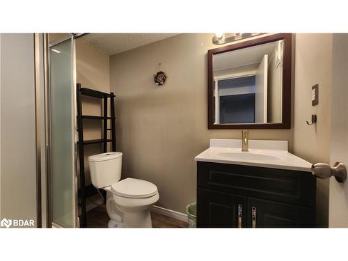 3909 Guest Road, Innisfil, ON - Indoor Photo Showing Bathroom