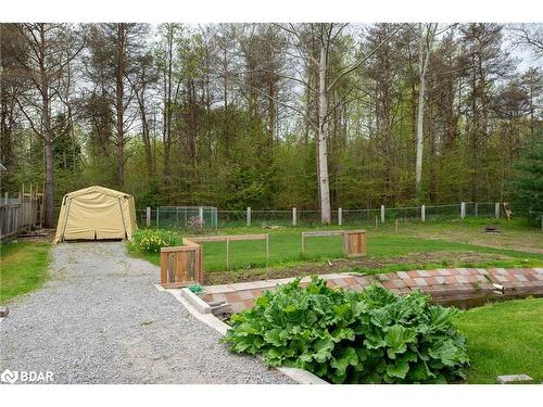 4925 Concession 2 Sunnidale Road, New Lowell, ON - Outdoor With Backyard