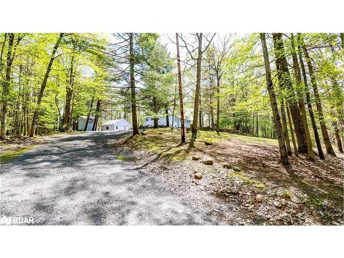 3711 Brunel Road, Baysville, ON - Outdoor With View