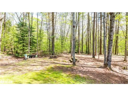 3711 Brunel Road, Baysville, ON - Outdoor With View