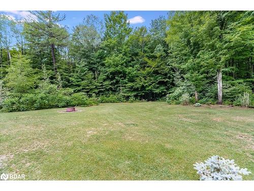 697 Lafontaine Road E, Tiny, ON - Outdoor