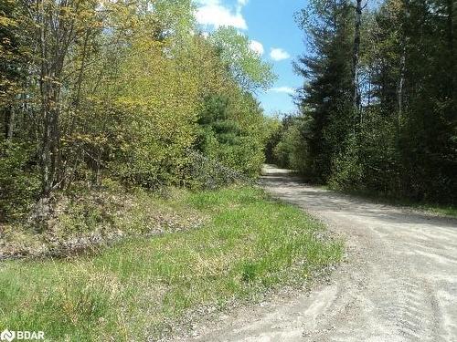 Pt Lt 147 (Pin 520520411) Rye Road, South River, ON 