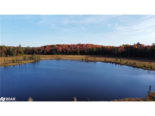 111 Rose Lake Road, Utterson, ON - Outdoor With Body Of Water With View