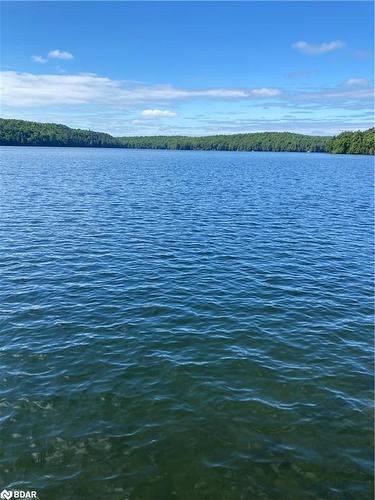 1002 East Camp Lake Rd, Lake Of Bays, ON - Outdoor With Body Of Water With View