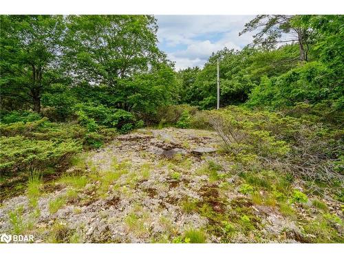 Lot 1 Delta Road, Washago, ON 