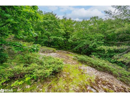 Lot 2 Delta Road, Washago, ON 