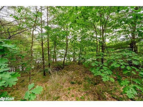 Lot 2 Delta Road, Washago, ON 