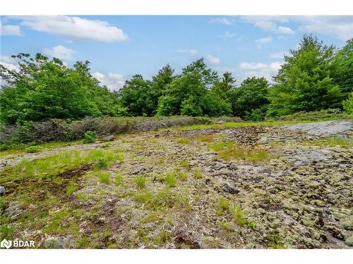 Lot 2 Delta Road, Washago, ON 