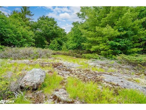 Lot 2 Delta Road, Washago, ON 