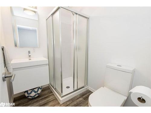 202 Napier Street, Barrie, ON - Indoor Photo Showing Bathroom