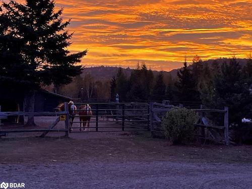 778 Maxwell Settlement Road, Bancroft, ON - Outdoor With View