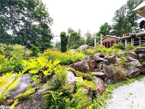 20 Black River Road, Washago, ON - Outdoor