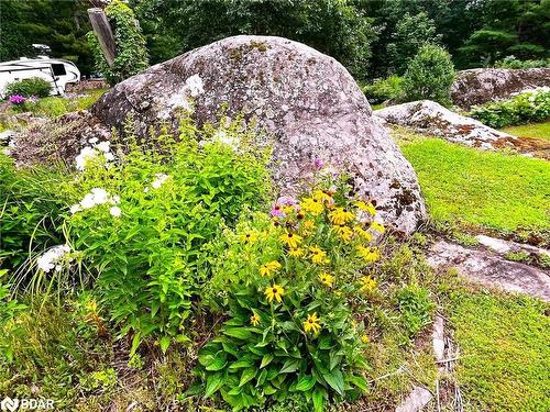 20 Black River Road, Washago, ON - Outdoor