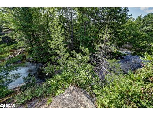 20 Black River Road, Washago, ON - Outdoor