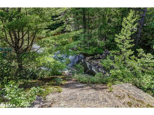 20 Black River Road, Washago, ON - Outdoor