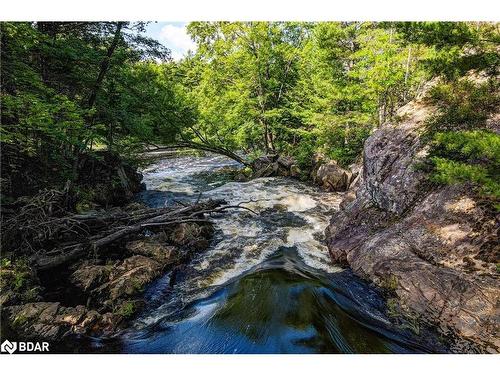 20 Black River Road, Washago, ON - Outdoor